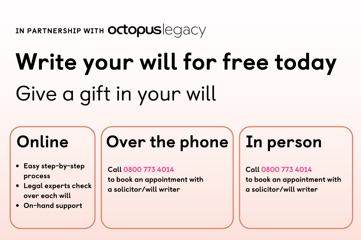 Pink box with more information about a free will writing service from Octopus Legacy - click on this box to visit their website where you can find out more information.