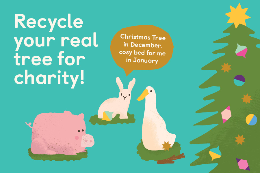 Recycle your Christmas tree