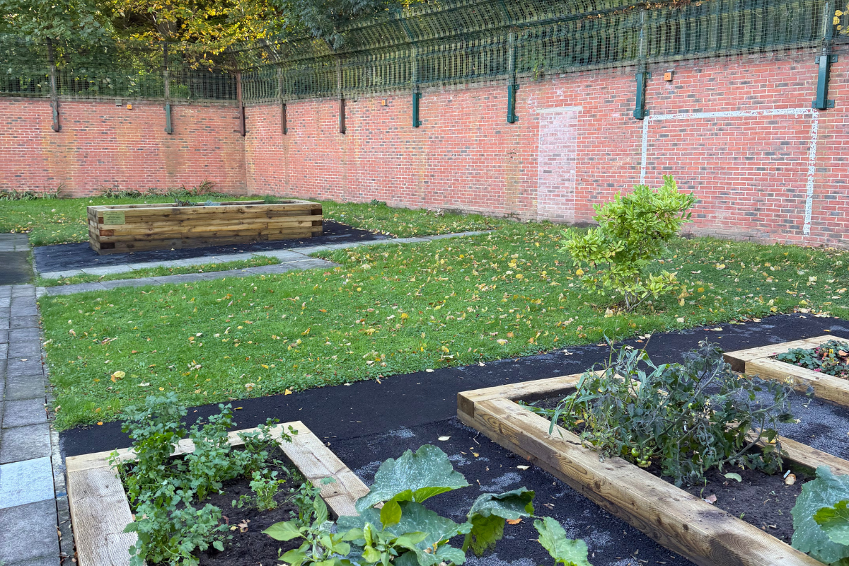 Forest Lodge Garden
