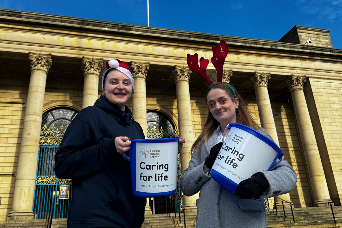 Christmas Pantomime Volunteers